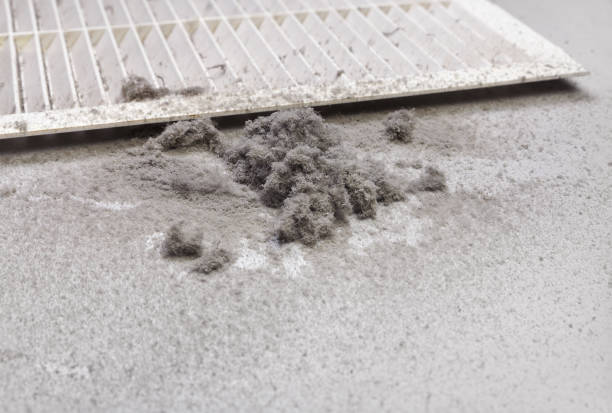 Best Home Air Vent Cleaning  in Dana, NC