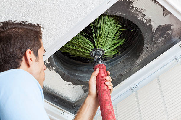 Best Emergency Air Duct Cleaning  in Dana, NC